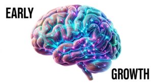 소아의 뇌 발달 및 신경 연결 성장을 보여주는 의학 다이어그램